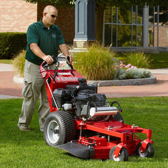Ferris Walk Behind Mowers