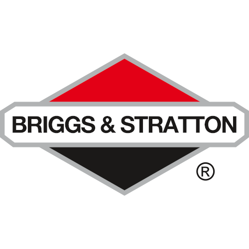 Briggs & Stratton 100007