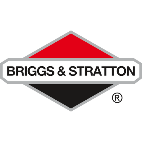 Briggs & Stratton 100009