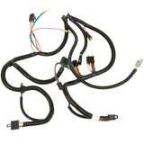 Cub Cadet Harness-Wiring - 02000555P