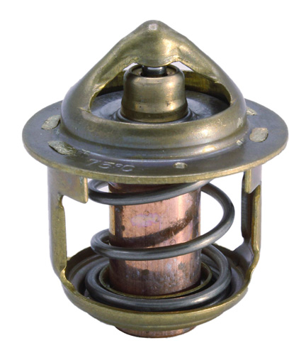 Hustler - 145206061 - THERMOSTAT COMPL