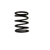 Kohler Engine 15 089 01-S - SPRING