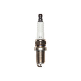 Briggs & Stratton 496018S