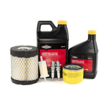Briggs & Stratton 84002316 Maintenance Kit | Genuine OEM Tune-Up Kit