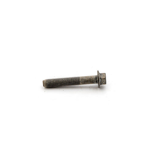Briggs & Stratton 695759