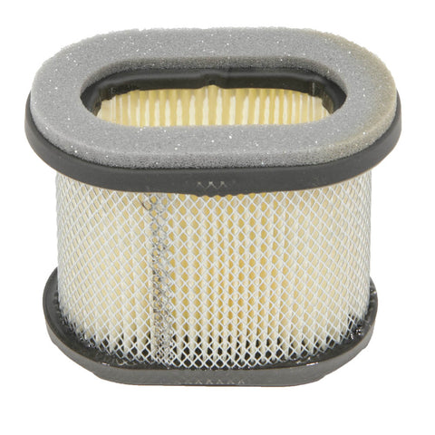 Briggs & Stratton 697029