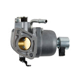 Briggs & Stratton 699807