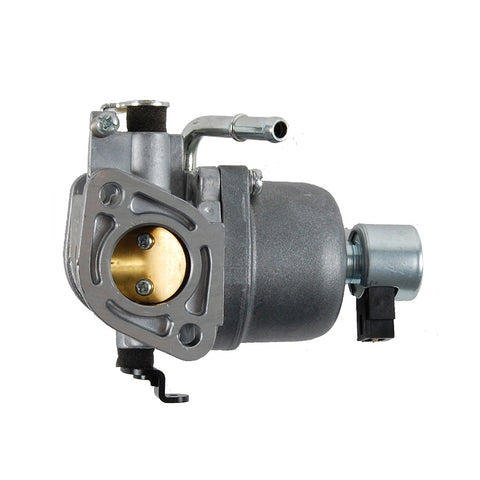 Briggs & Stratton 699807