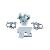Briggs & Stratton 790120