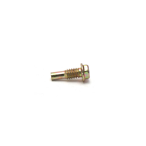 Briggs & Stratton 790832