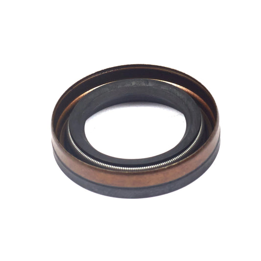 Briggs & Stratton 391483S