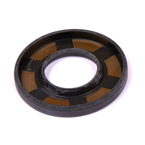 Briggs & Stratton 393812