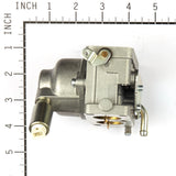 Briggs & Stratton 791230