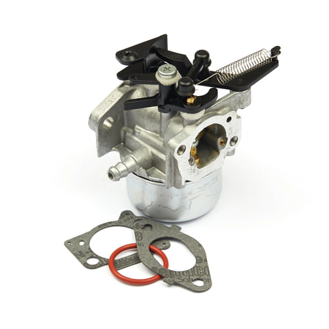 Briggs & Stratton 796608