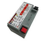 Cub Cadet Battery-Agm 7Ahr - 725P17136