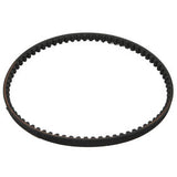 Kohler Engine 66 203 01-S - BELT, WATER PUMP