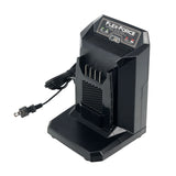 Toro 88902 60V MAX Flex-Force 2-Amp Lithium-Ion Battery Charger