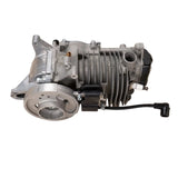 OEM STIHL Engine Short Block – 4283 020 0200 (BR 800 C-E / BR 800 X Magnum)