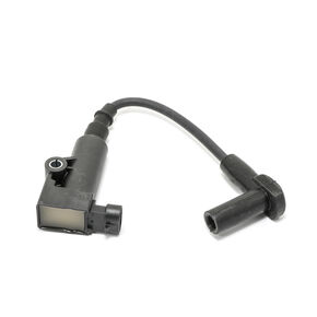 Cub Cadet Coil-Ignition  Efi - KH-25-519-02-S