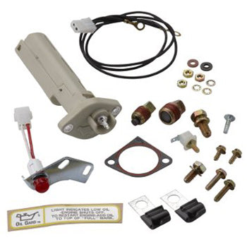 Briggs & Stratton 398182