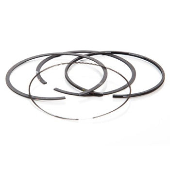 Briggs & Stratton 493261