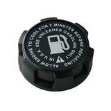 Briggs & Stratton 494559