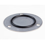 Briggs & Stratton 499613