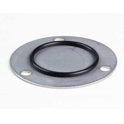 Briggs & Stratton 499613