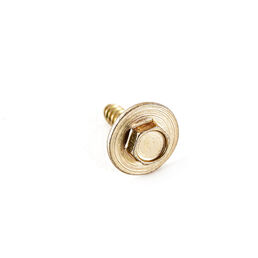 Cub Cadet Screw-B 10-16 X .6 - 710-04669
