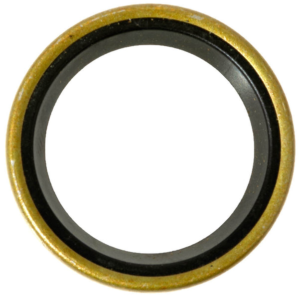 Cub Cadet Seal-Oil .750 X   1.00 X .125 - 721-0179