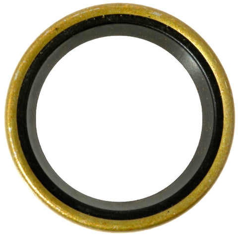 Cub Cadet Seal-Oil .750 X   1.00 X .125 - 721-0179