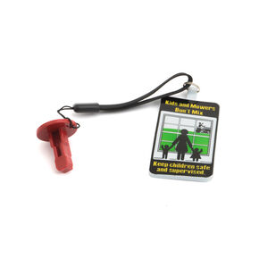 Cub Cadet Key-Pbs - 725-06779B