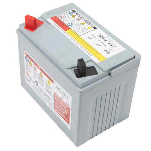 Cub Cadet Battery-230 Cca Ag - 725P17130