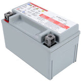 Cub Cadet Battery-Agm 7Ahr - 725P17136