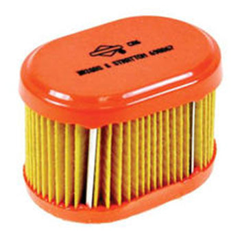 Briggs & Stratton 790166