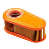 Briggs & Stratton 795066