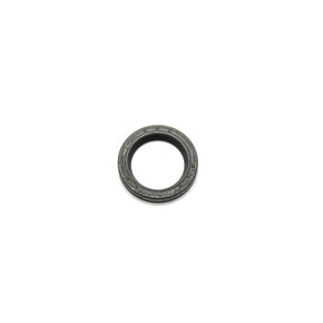 Briggs & Stratton 299819S